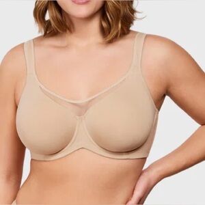 Hilaine brand: 32/DD Minimizer Underwire Bra